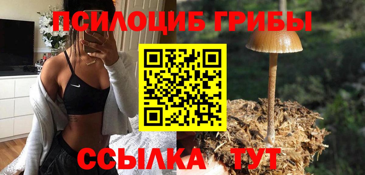 Псилоцибиновые грибы Psilocybine cubensis Железноводск